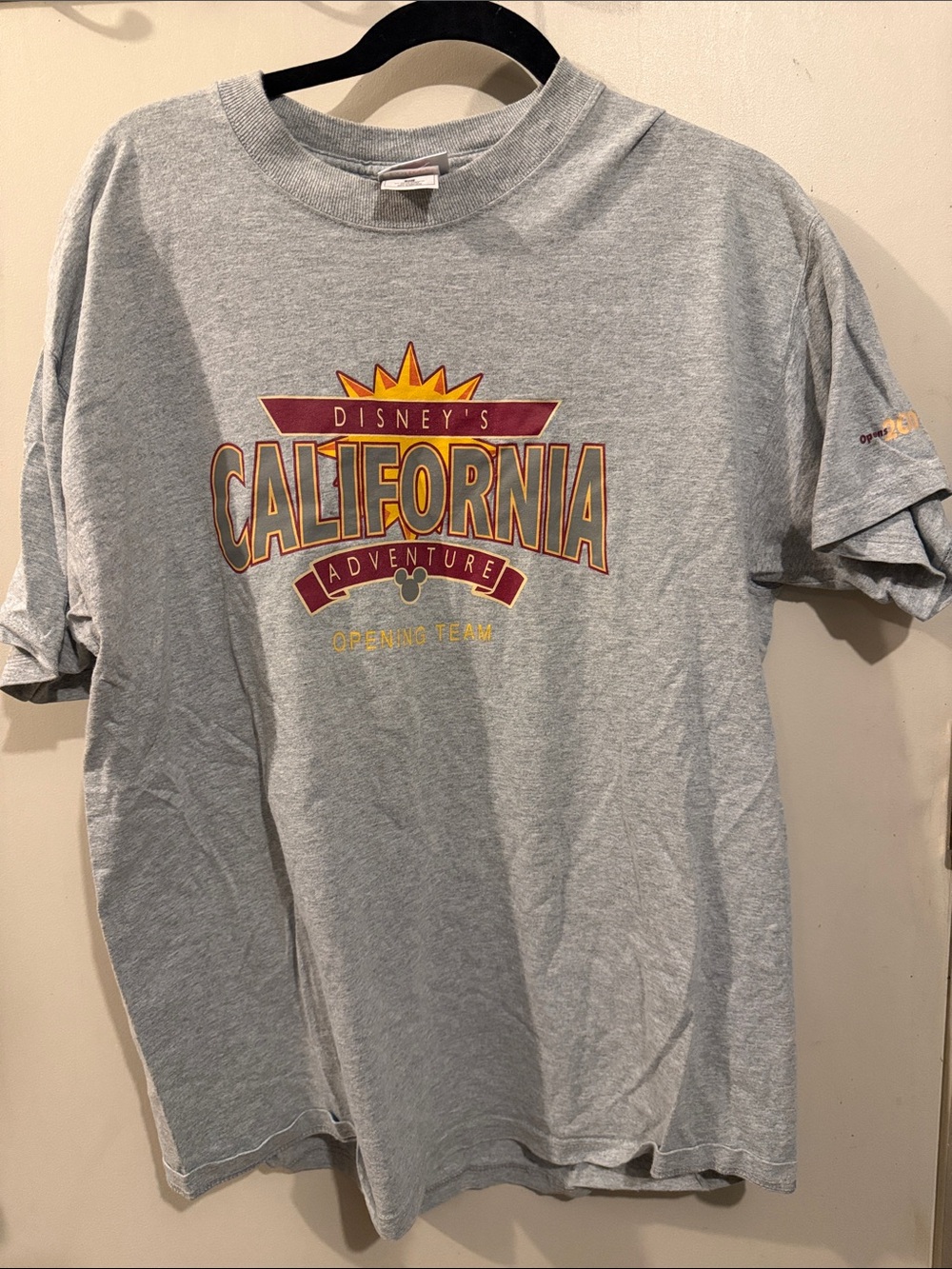 Rare Disney California Adventure Opening Team Gray Tee